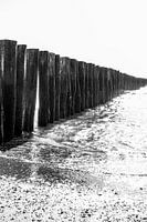 Strandpfosten rudern im Wasser