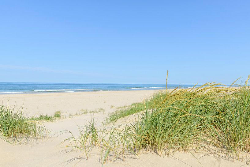 Sommer am Strand von Sjoerd van der Wal Fotografie