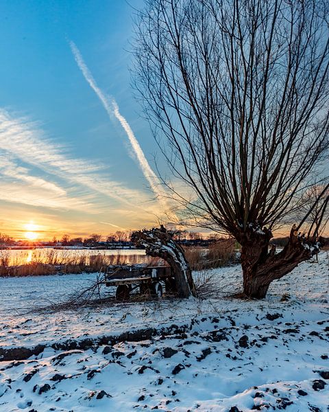 Neige sur terre par Wesley Kole