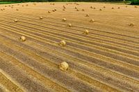 Straw bale grain harvest Hoeksche Waard