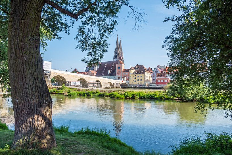 Skyline von Regensburg in der Oberpfalz von Animaflora PicsStock