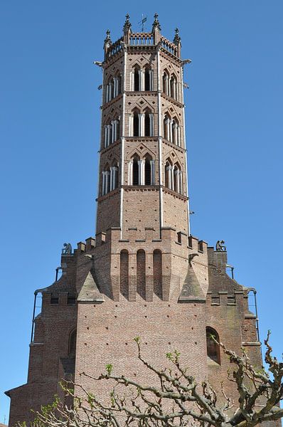 Kathedraal van Pamiers: een juweel van middeleeuwse architectuur van Frank Photos