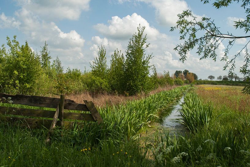 Groen Nederland von Anco van der Kolk