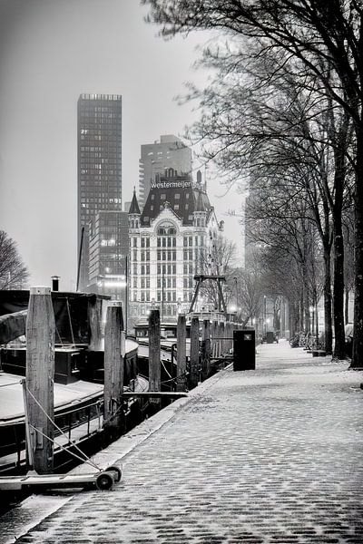 Winter photo of the Herring fly and the White House in Rotterdam by Mark De Rooij