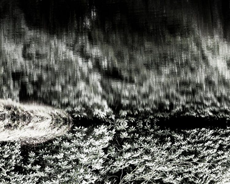 Wind | Abstraktes Naturbild von Henriëtte Mosselman