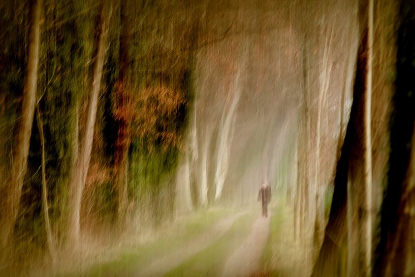 Zondagswandeling von Henk Dirksen