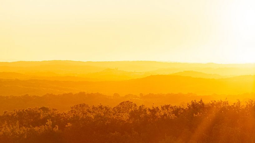 50 shades of orange by Gijs de Kruijf