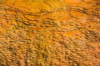 Contexte du parc de Yellowstone