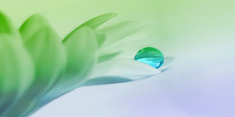 Lâcher par Violetta Honkisz