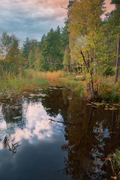 See in Schweden mit weißen Wolken, blaues Wasser und Bäumen am Ufer von Martin Köbsch