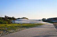 Sentier à travers les dunes