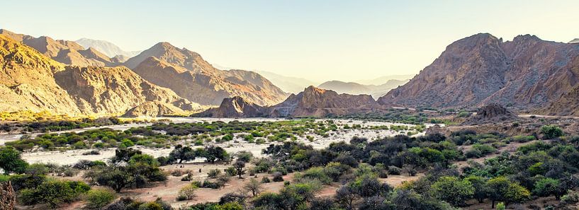 Am Fuße der Anden Argentinien. von Ron van der Stappen