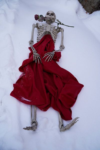 Ewige Liebe Skelett mit roter Rose in weißem Schnee von Babetts Bildergalerie