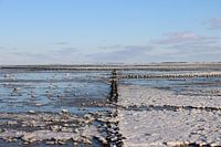 Gefrorenes Wattenmeer