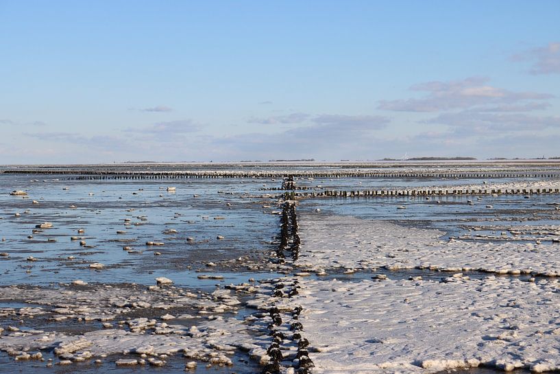 Gefrorenes Wattenmeer von Helga Feenstra