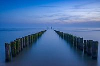 Breakwater on the beach in Zoutelande