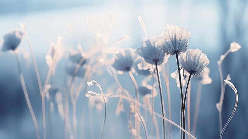 Mood d'hiver bleu par Treechild