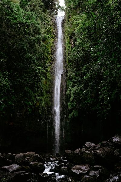 Cascade par Myrthe Vlasveld