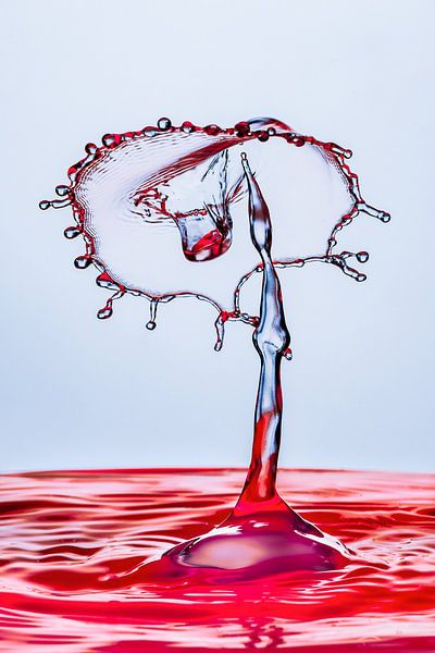 Tropfen #43 von Tom Monochrom