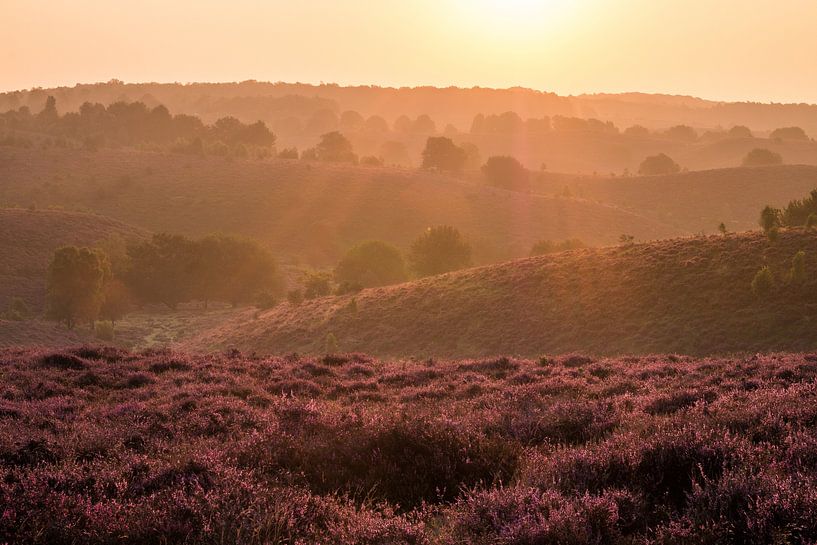 Posbank 6 von Nuance Beeld