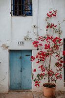 Intimate, romantic cottage in Ibiza | Architecture | Street Photography