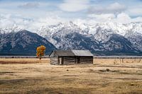 Holzhaus in der Natur mit Bergen im Hintergrund.