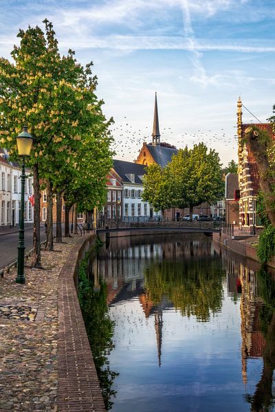 Westerkerk in Amersfoort met vogels in de lucht. van Bart Ros