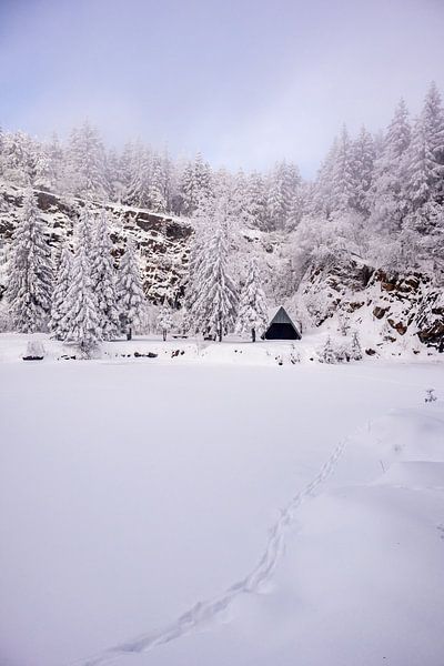 Tour de ski de fond par un temps impérial dans la forêt enneigée de Thuringe près de Floh-Seligenthal - Thuringe - Allemagne par Oliver Hlavaty