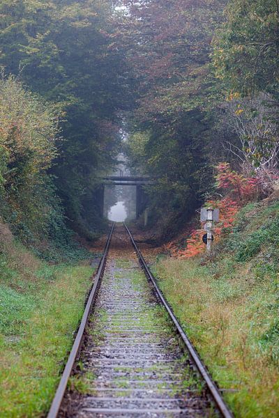 tunnel in de natuur par Marcel Derweduwen