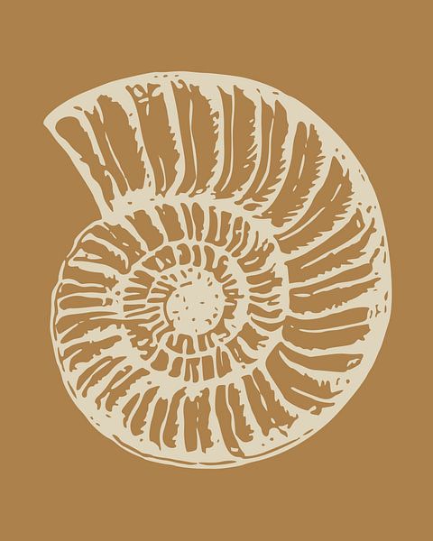 Coquille d&#039;escargot par FRESH Fine Art