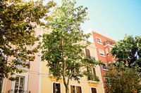 Des murs colorés à Ibiza