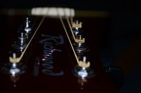 Richwood guitar strings