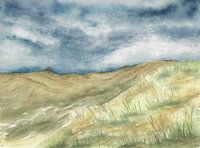 Paysage de dunes au Danemark