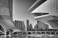 Détail du Palau de les Arts Reina Sofia - Valence