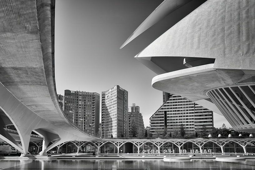 Detail of the Palau de les Arts Reina Sofia - Valencia by Paysages urbains - Rick Van der Poorten Photography