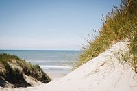 Seegras und Blick auf das Meer bei Schoorl, entlang der niederländischen Küste | Fine Art Naturfotog