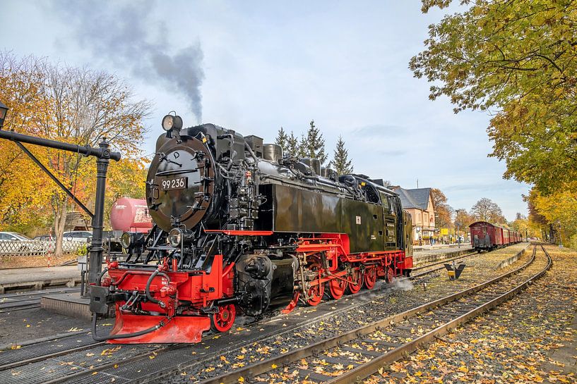 Die Brockenbahn am Bahnhof Drei Annen Hohne von t.ART
