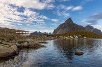 Stockfisch in Reine