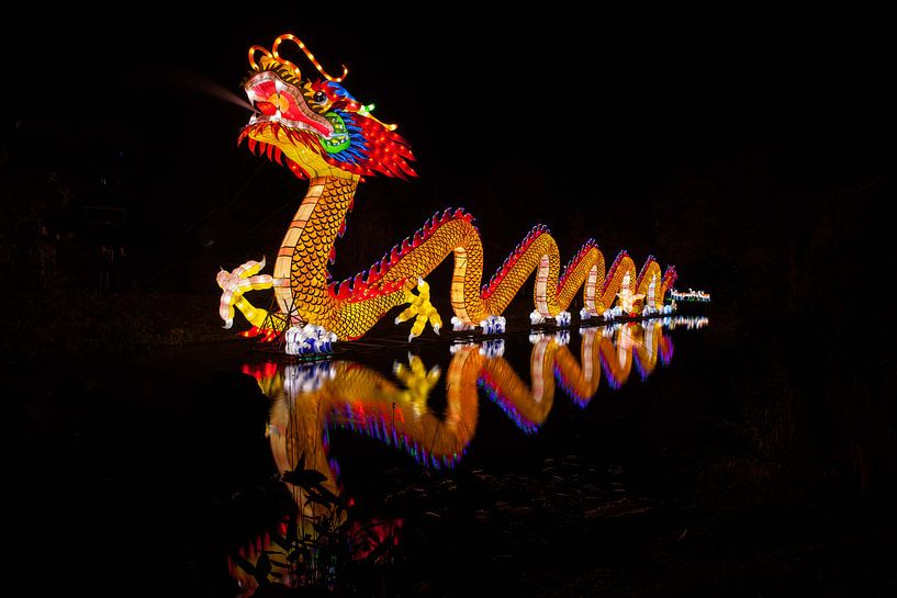 Dragon par Stefan Wapstra