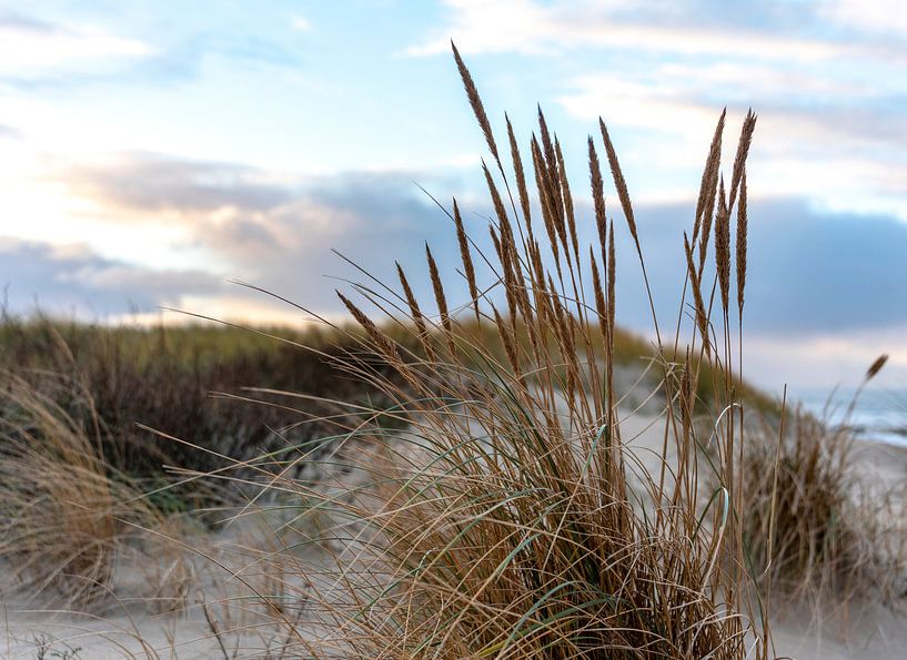 Helm by Jeanette van Starkenburg