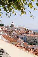 Voir Jardim Júlio de Castilho, Lisbon
