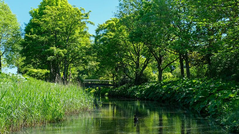 Westerpark, Amsterdam, Niederlande von themovingcloudsphotography