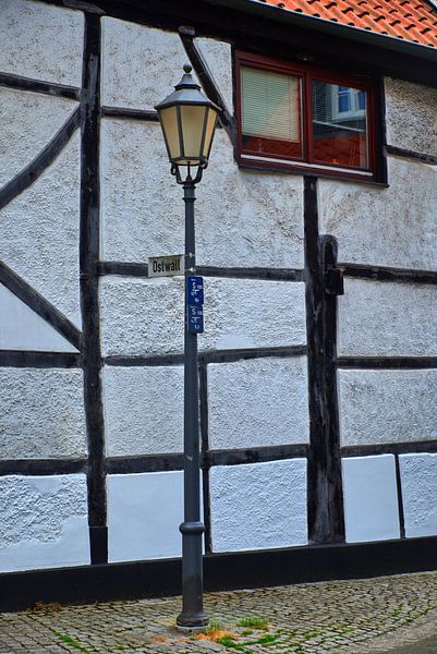 Nature morte aux lanternes par Edgar Schermaul