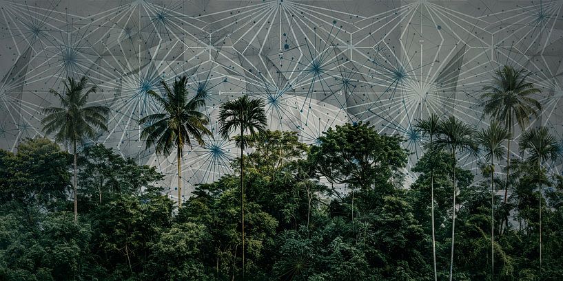 Geheimnisvoller Palmenwald bei Nacht von Vlindertuin-Art