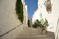 Eine weiße Gasse in Süditalien.