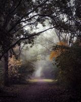 Nebliger Herbstmorgen