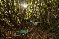 Verlaten Mercedes 300D in het bos