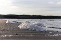 Sea foam on the beach
