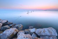 Visfuik in zacht licht