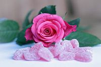 Valentine's Day - pink rose with heart candies